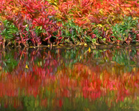 Fiery Red Edges